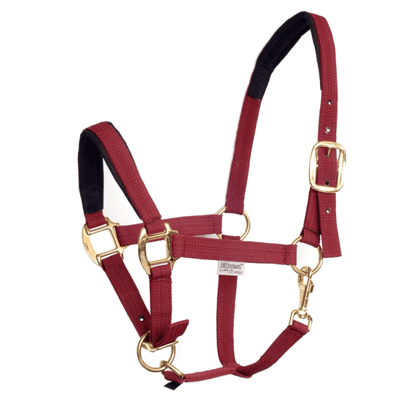 Halfter Dual Plus - Klüngelkram A Gallant Horseman