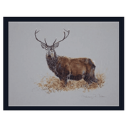 Jagdbild Hirsch im Farnkraut - Klüngelkram Gut Grambow Fieldsports