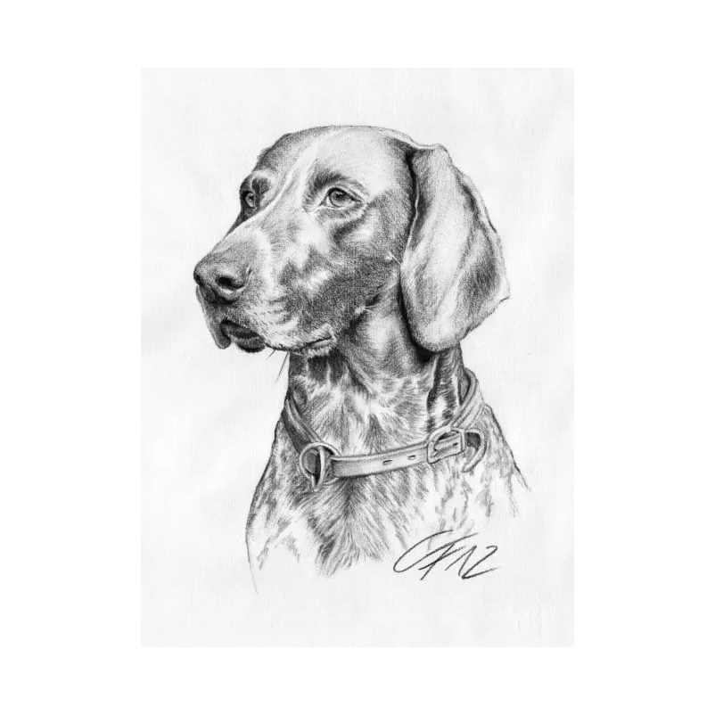 Tierportrait Hund mit Kohle gezeichnet