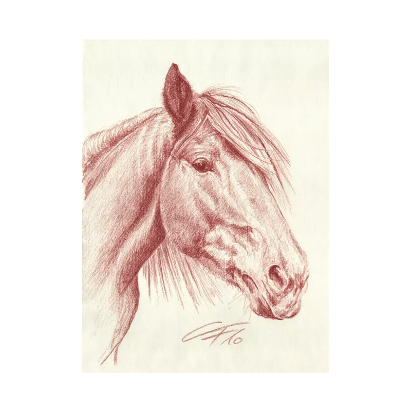 Tierportrait Pferd in Rötel von Claudia Frisch Portraits